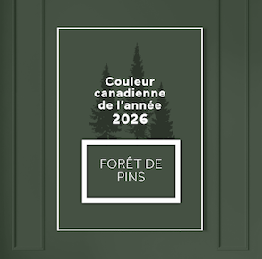   Dulux 2026 paint colour trends 